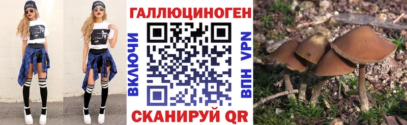 Галлюциногенные грибы мухоморы  купить наркотики сайты  Котельнич 